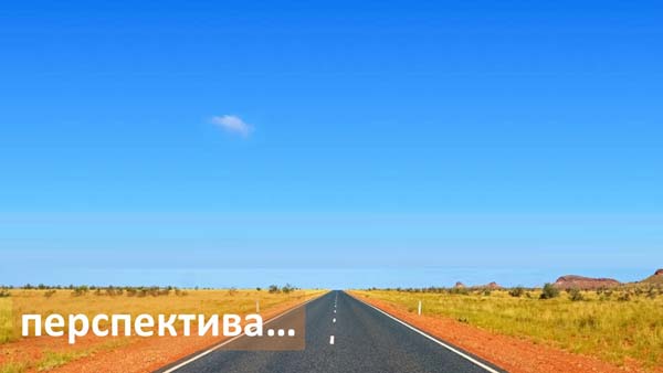 Структура вторичного рынка запчастей 2021 AGORA MIMS Automechanika.  Аналитика на smolensk.win-sto.ru